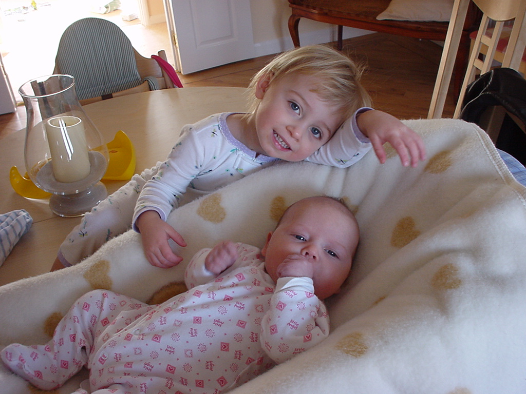 dsc200302.jpg